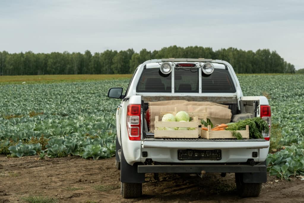 Pickup Truck With Vegetable Crop